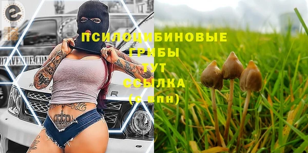 прущая мука Володарск