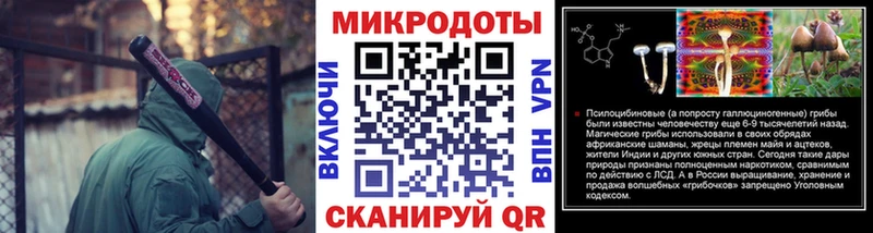 Купить закладки  Якутск  Псилоцибиновые грибы GOLDEN TEACHER